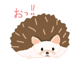 My lovely and cute pets sticker #13096192