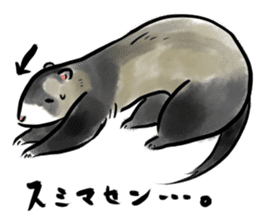 ferret-choju-giga sticker #13096663