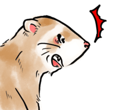 ferret-choju-giga sticker #13096668