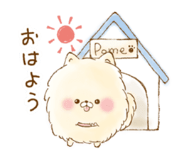 POME SHIBA sticker #13099217