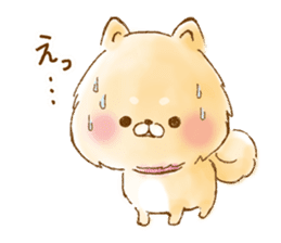 POME SHIBA sticker #13099238