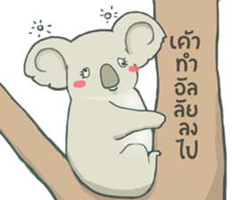 Bad luck Koala sticker #13099619