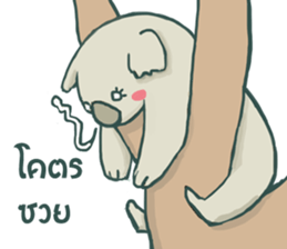 Bad luck Koala sticker #13099621
