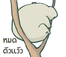 Bad luck Koala sticker #13099622