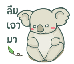 Bad luck Koala sticker #13099625