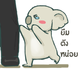 Bad luck Koala sticker #13099631