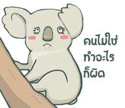 Bad luck Koala sticker #13099636