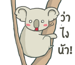 Bad luck Koala sticker #13099641