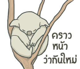 Bad luck Koala sticker #13099646