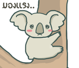 Bad luck Koala sticker #13099647