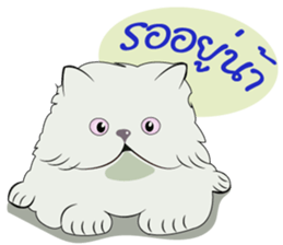 Shiro and friends sticker #13102202