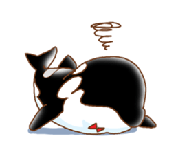 UandS-sadakichi sticker #13103151