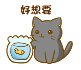 magic cats 2 sticker #13103760