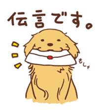 Golden Retriever's Stickers sticker #13104429