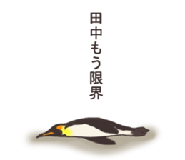 Mr.Tanaka usually uses it. sticker #13105457