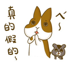 Bunny A-bu & hamster Dodo's happy life 2 sticker #13107593