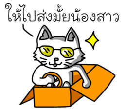 Som-Meow sticker #13110842