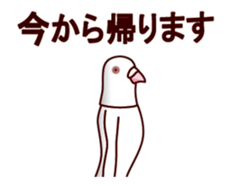 The pigeon which moves ~2nd ver.~ sticker #13110878