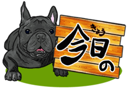 What do you want to eat ? with frebull sticker #13111358