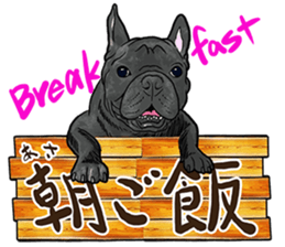 What do you want to eat ? with frebull sticker #13111360