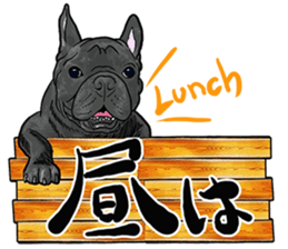 What do you want to eat ? with frebull sticker #13111361