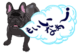 What do you want to eat ? with frebull sticker #13111395