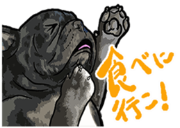 What do you want to eat ? with frebull sticker #13111397