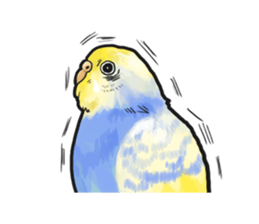 Birds live at their own pace 4. sticker #13112223