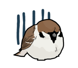 Birds live at their own pace 4. sticker #13112224