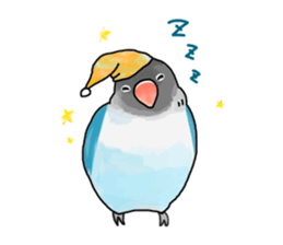 Birds live at their own pace 4. sticker #13112229