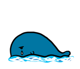 Q whale stickers sticker #13114682
