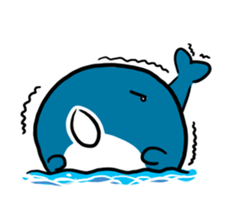 Q whale stickers sticker #13114703
