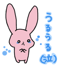 Full of rabbit sticker #13115803