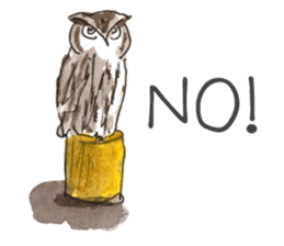 See & Draw: Japan sticker #13116762