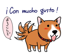 Panda speak Spanish & Japanese. sticker #13121991