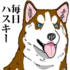 Daily Siberian husky Calm personality