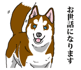 Daily Siberian husky Calm personality sticker #13129273