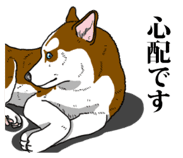 Daily Siberian husky Calm personality sticker #13129274