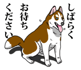 Daily Siberian husky Calm personality sticker #13129276