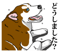 Daily Siberian husky Calm personality sticker #13129279
