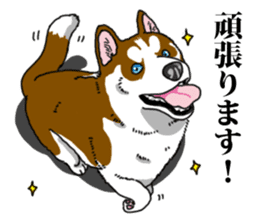 Daily Siberian husky Calm personality sticker #13129294