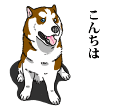 Daily Siberian husky Calm personality sticker #13129296
