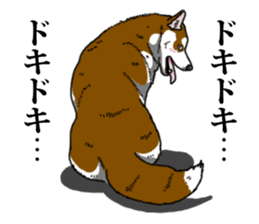 Daily Siberian husky Calm personality sticker #13129304