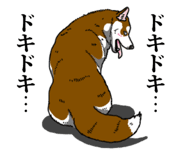 Daily Siberian husky Calm personality sticker #13129304