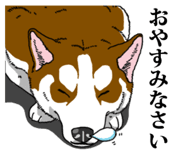 Daily Siberian husky Calm personality sticker #13129305