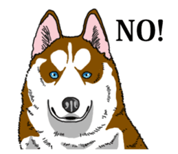 Daily Siberian husky Calm personality sticker #13129306