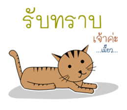 The Girl and cat sticker #13129341