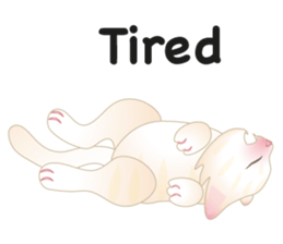 KATI fat cat sticker #13130185