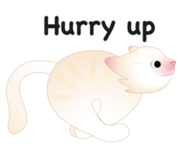 KATI fat cat sticker #13130195