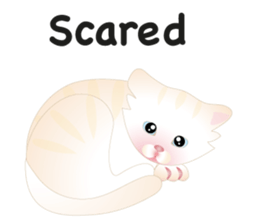 KATI fat cat sticker #13130209